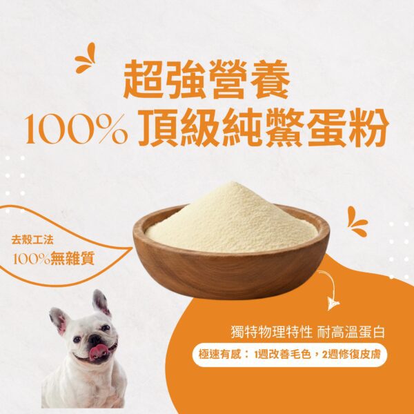 寵物營養補給成分圖，展示一碗細緻的 100% 頂級純鱉蛋粉，標註超強營養、無添加、護色亮毛、調節免疫及改善皮膚等三大功效，適合貓狗食用。