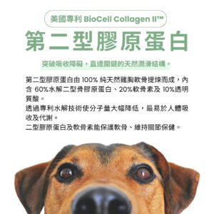 寵物關節保健品推薦，選用美國專利 UC2 貓狗關節粉。含水解二型膠原蛋白、軟骨素與透明質酸，是改善毛孩行動力 MSM 靈活配方的重要補充。搭配狗狗貓咪肌肉支撐關節粉與紐西蘭綠貽貝寵物關節營養補充，全方位犬貓軟硬骨強化保健推薦。