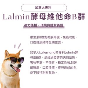 寵物口腔益生菌推薦，嚴選加拿大 Lalmin 酵母維他命 B 群，有效幫助黏膜修復。針對寵物牙齦紅腫保健補充，提供天然發酵型態維生素，是改善狗狗貓咪口臭方法中維持口腔健康的重要後援。結合專利 K12 貓狗口腔益生菌、日本柿子萃取寵物除臭粉，全方位犬貓口腔健康後生元配方。