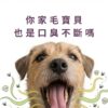 改善狗狗貓咪口臭方法》你家毛寶貝也是口臭不斷嗎? 改善狗狗貓咪口臭方法,針對寵物口臭不斷的問題。含專利 K12 貓狗口腔益生菌與日本柿子萃取寵物除臭粉,有效緩解寵物牙齦紅腫保健補充。寵物口腔益生菌推薦首選,內含犬貓口腔健康後生元配方,根除口腔異味。