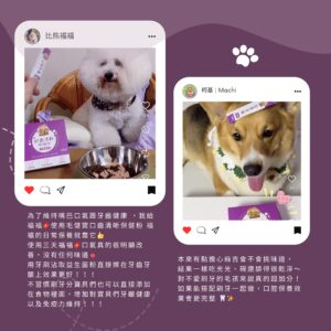 寵物口腔益生菌推薦，網紅比熊與柯基實測好評。含專利 K12 貓狗口腔益生菌與日本柿子萃取寵物除臭粉，是改善狗狗貓咪口臭方法的高人氣選擇。針對寵物牙齦紅腫保健補充，提供犬貓口腔健康後生元配方，提升毛孩免疫力與牙齦健康。