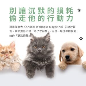 寵物關節保健品推薦，預防貓狗關節退化的靜默損耗。含美國專利 UC2 貓狗關節粉與紐西蘭綠貽貝寵物關節營養補充，改善毛孩行動力 MSM 靈活配方，全方位犬貓軟硬骨強化保健。