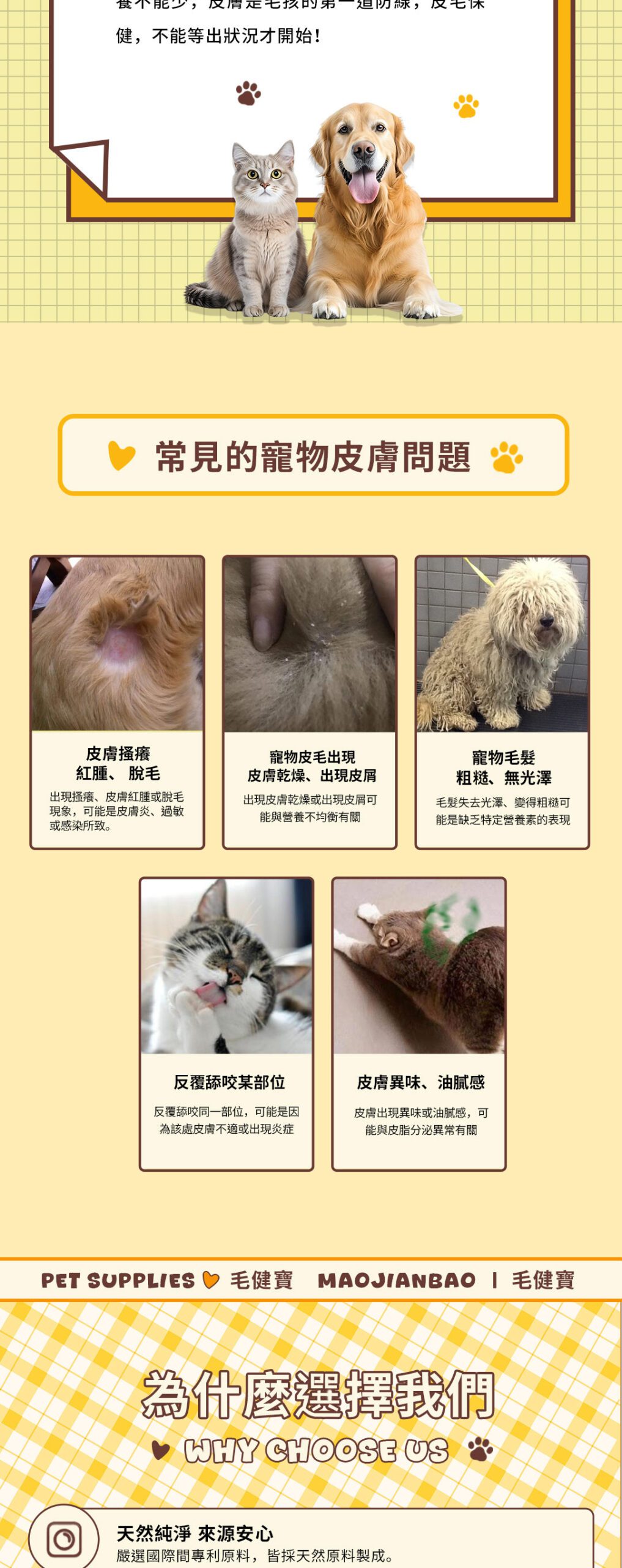 寵物皮毛保健