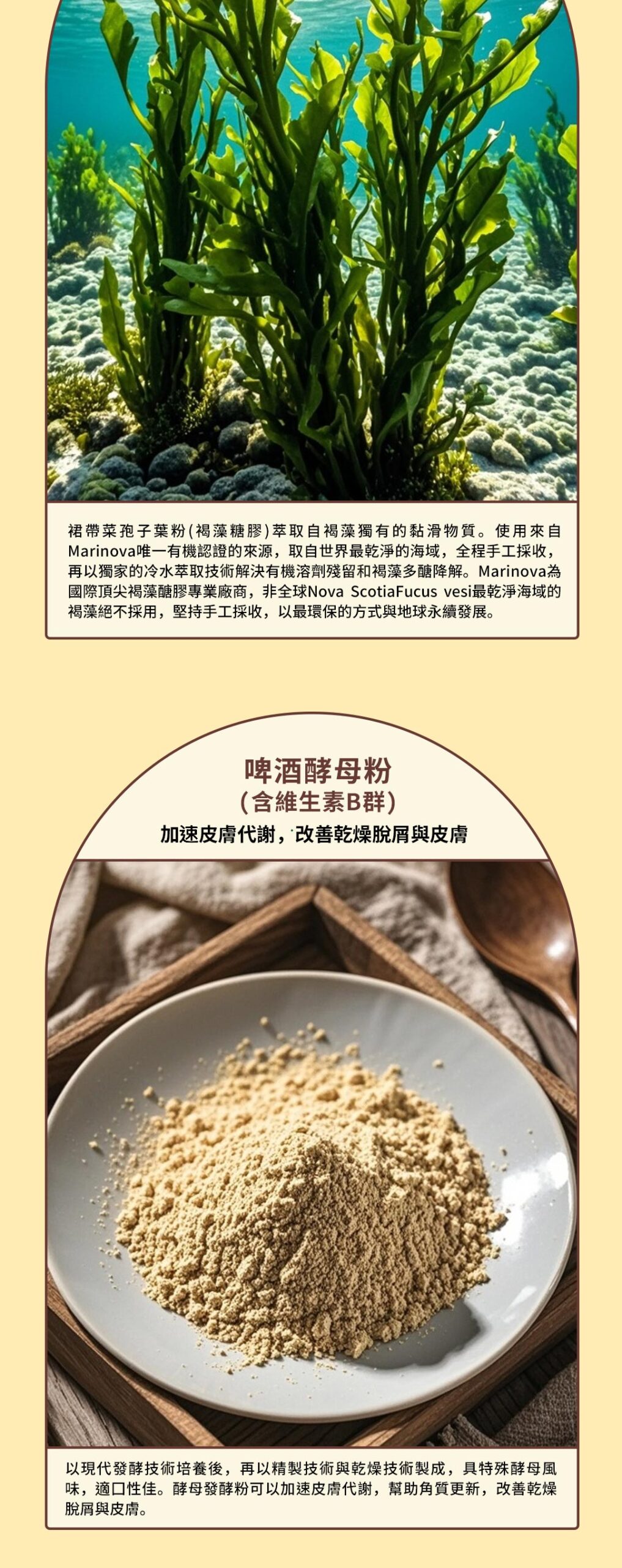 寵物皮毛保健