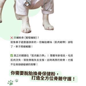 寵物關節保健品推薦，說明改善毛孩行動力 MSM 靈活配方。強調狗狗貓咪肌肉支撐關節粉，避免因肌肉流失導致骨骼失去支撐。犬貓軟硬骨強化保健推薦，全方位骨骼守護。