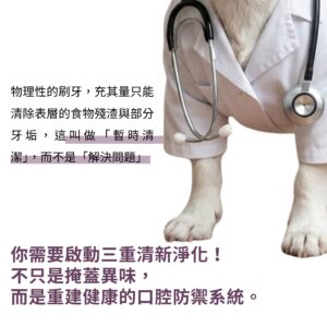 寵物口腔益生菌推薦，說明物理刷牙僅能暫時清潔。需透過專利 K12 貓狗口腔益生菌與改善狗狗貓咪口臭方法，重建健康口腔防禦系統。結合日本柿子萃取寵物除臭粉、犬貓口腔健康後生元配方，有效緩解寵物牙齦紅腫保健補充。