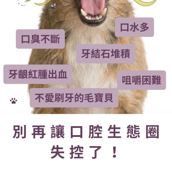 寵物口腔益生菌推薦》別讓口腔生態圈失控!對抗口臭與牙齦紅腫警訊 寵物口腔益生菌推薦,針對口臭不斷、牙結石堆積、牙齦紅腫出血等口腔生態圈失控問題。含專利 K12 貓狗口腔益生菌與日本柿子萃取寵物除臭粉,是改善狗狗貓咪口臭方法的核心配方。搭配犬貓口腔健康後生元配方,全方位寵物牙齦紅腫保健補充。