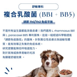 寵物益生菌推薦：使用專利 L. rhamnosus BB1 與 L. paracasei BB5 菌株，科學證實能調節 Th1/Th2 免疫路徑，適合季節易敏、皮膚困擾或呼吸道較敏感的毛孩，幫助維持免疫平衡與舒緩效果。
