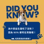 寵物益生菌推薦：揭露益生菌被胃酸破壞的真相。毛院長說明為何多數寵物益生菌存活率低，強調選擇能抵抗胃酸、成功定植腸道的活菌重要性。