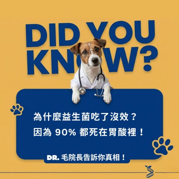 為什麼狗狗貓咪吃益生菌沒感?破解 90% 益生菌死於胃酸的真相 寵物益生菌推薦:揭露益生菌被胃酸破壞的真相。毛院長說明為何多數寵物益生菌存活率低,強調選擇能抵抗胃酸、成功定植腸道的活菌重要性。