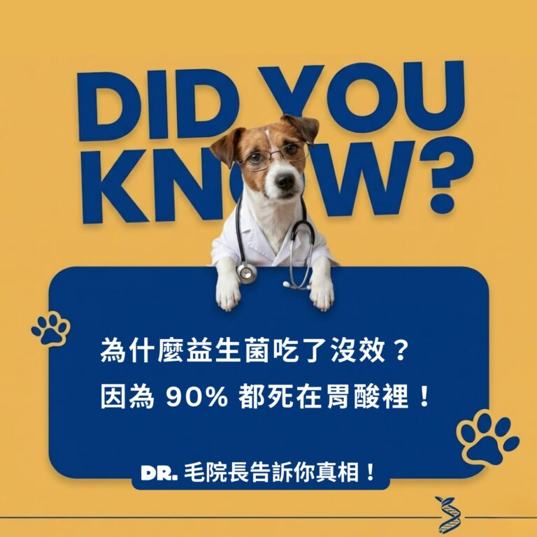 寵物益生菌推薦：揭露益生菌被胃酸破壞的真相。毛院長說明為何多數寵物益生菌存活率低，強調選擇能抵抗胃酸、成功定植腸道的活菌重要性。