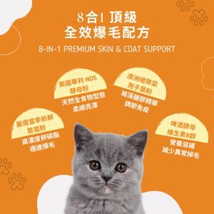寵物爆毛粉推薦 8合1全效配方，含 10倍濃縮鱉蛋粉、深海魚油寵物皮膚護理成分。針對貓狗掉毛改善保健品，PTT Dcard 好評毛孩皮毛滋養亮澤配方。