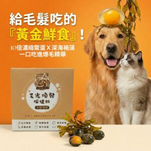 寵物爆毛粉推薦，內含10倍濃縮鱉蛋粉與深海魚油，貓狗掉毛改善保健品，PTT Dcard好評皮毛滋養亮澤配方。