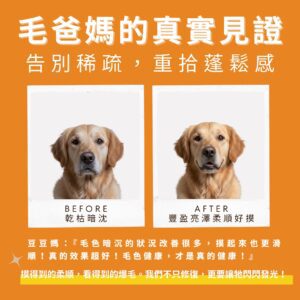 寵物爆毛粉推薦真實對比，告別毛髮稀疏乾枯。含 10倍濃縮鱉蛋粉與深海魚油寵物皮膚護理成分，有效改善貓狗掉毛。爆毛粉 PTT Dcard 好評毛孩皮毛滋養亮澤配方。