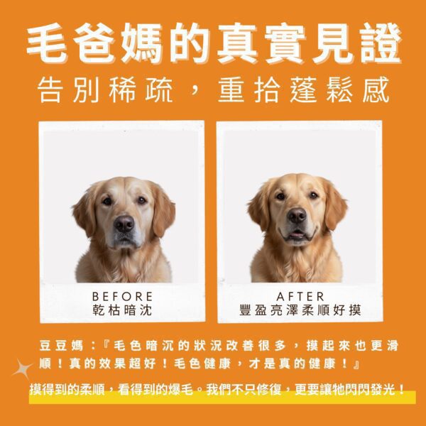 爆毛粉 PTT Dcard 好評見證:7天告別稀疏,重拾貓狗毛髮蓬鬆亮澤感 寵物爆毛粉推薦真實對比,告別毛髮稀疏乾枯。含 10倍濃縮鱉蛋粉與深海魚油寵物皮膚護理成分,有效改善貓狗掉毛。爆毛粉 PTT Dcard 好評毛孩皮毛滋養亮澤配方。