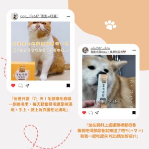 寵物爆毛粉推薦，解決換毛季貓狗掉毛改善保健品。內含 10倍濃縮鱉蛋粉 與 深海魚油寵物皮膚護理，爆毛粉 PTT Dcard 好評適口性，毛孩皮毛滋養亮澤配方。