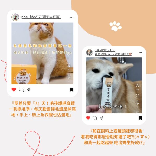 7天爆毛奇蹟見證 - 解決換毛季掉毛困擾 寵物爆毛粉推薦,解決換毛季貓狗掉毛改善保健品。內含 10倍濃縮鱉蛋粉 與 深海魚油寵物皮膚護理,爆毛粉 PTT Dcard 好評適口性,毛孩皮毛滋養亮澤配方。