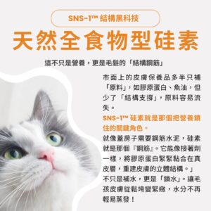 寵物爆毛粉推薦，含天然全食物型硅素，為毛髮提供結構支撐。搭配10倍濃縮鱉蛋粉與深海魚油寵物皮膚護理，改善貓狗掉毛乾癢，爆毛粉 PTT Dcard 好評毛孩皮毛滋養亮澤首選。