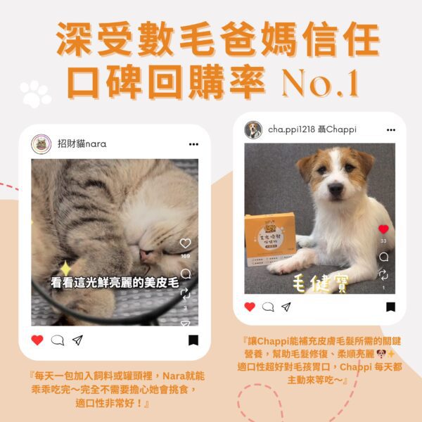 口碑回購率No.1 - 飼主真實社群好評見證 寵物爆毛粉推薦,Instagram 網友口碑回購率 No.1。含 10倍濃縮鱉蛋粉 與 深海魚油寵物皮膚護理,有效改善貓狗掉毛。爆毛粉 PTT Dcard 好評 毛孩皮毛滋養亮澤配方,適口性極佳。