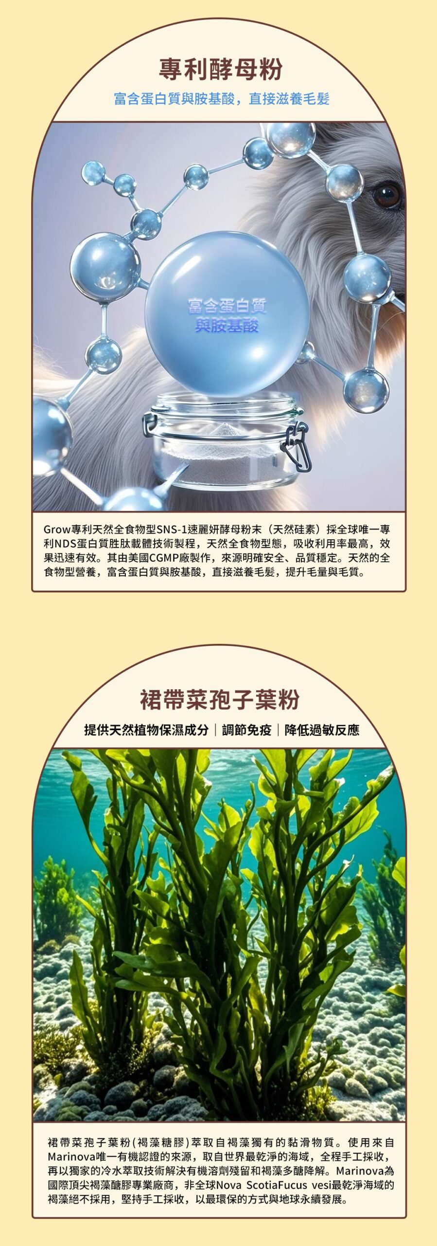 寵物皮毛保健