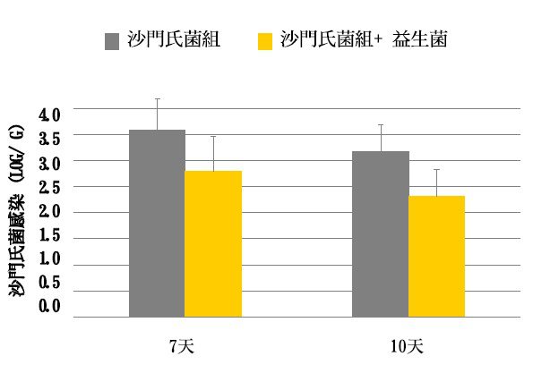 腸道致病菌：沙門氏菌 Salmonella 示意圖