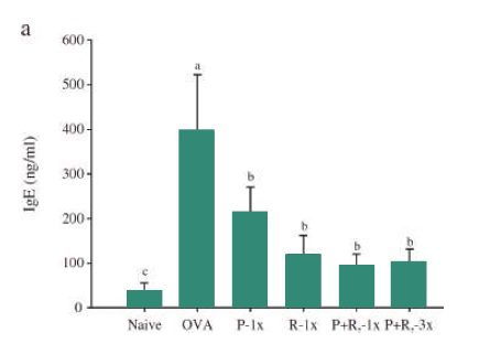 SP137 調節 IgE 指標與緩解皮膚過敏實驗數據