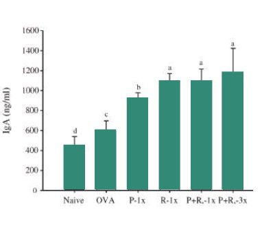 SP137 提升寵物腸道 IgA 黏膜抗體免疫指標圖