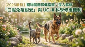 2026寵物關節保健指南:深入解析UC-II與口服免疫耐受機制-毛健寶專業推薦