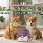毛健寶2026寵物口腔保健指南封面：橘貓與柯基犬推薦口齒清新益生菌粉，主打3秒中和惡臭免刷牙深層修復技術。