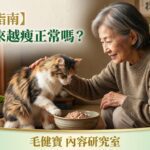 2026 高齡貓體重減輕與食慾不振深度照護指南 - 毛健寶內容研究室專業專欄封面