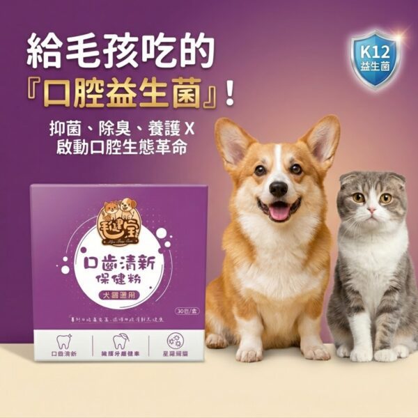 給毛孩吃的口腔益生菌 - 守護貓狗牙齦與清新口氣 毛孩專用口腔益生菌產品圖,包含紫色產品外盒、柯基犬與灰貓,標示抑菌、除臭、護齦三大功效與專利 K12 益生菌技術。