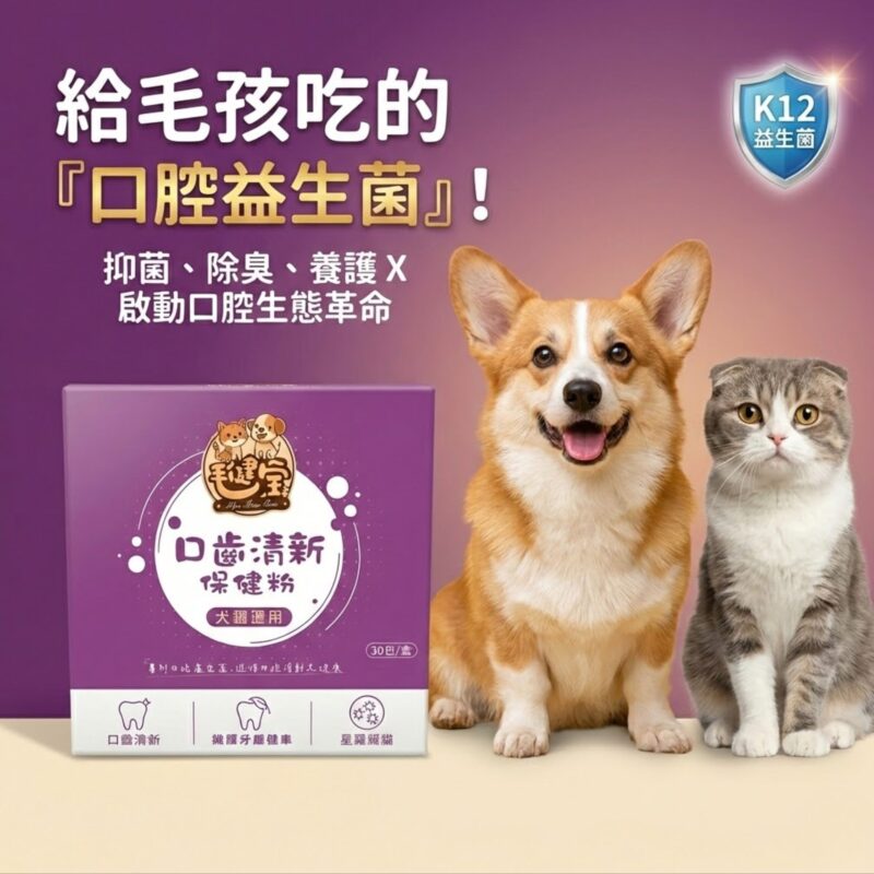 給毛孩吃的口腔益生菌 - 守護貓狗牙齦與清新口氣 毛孩專用口腔益生菌產品圖,包含紫色產品外盒、柯基犬與灰貓,標示抑菌、除臭、護齦三大功效與專利 K12 益生菌技術。