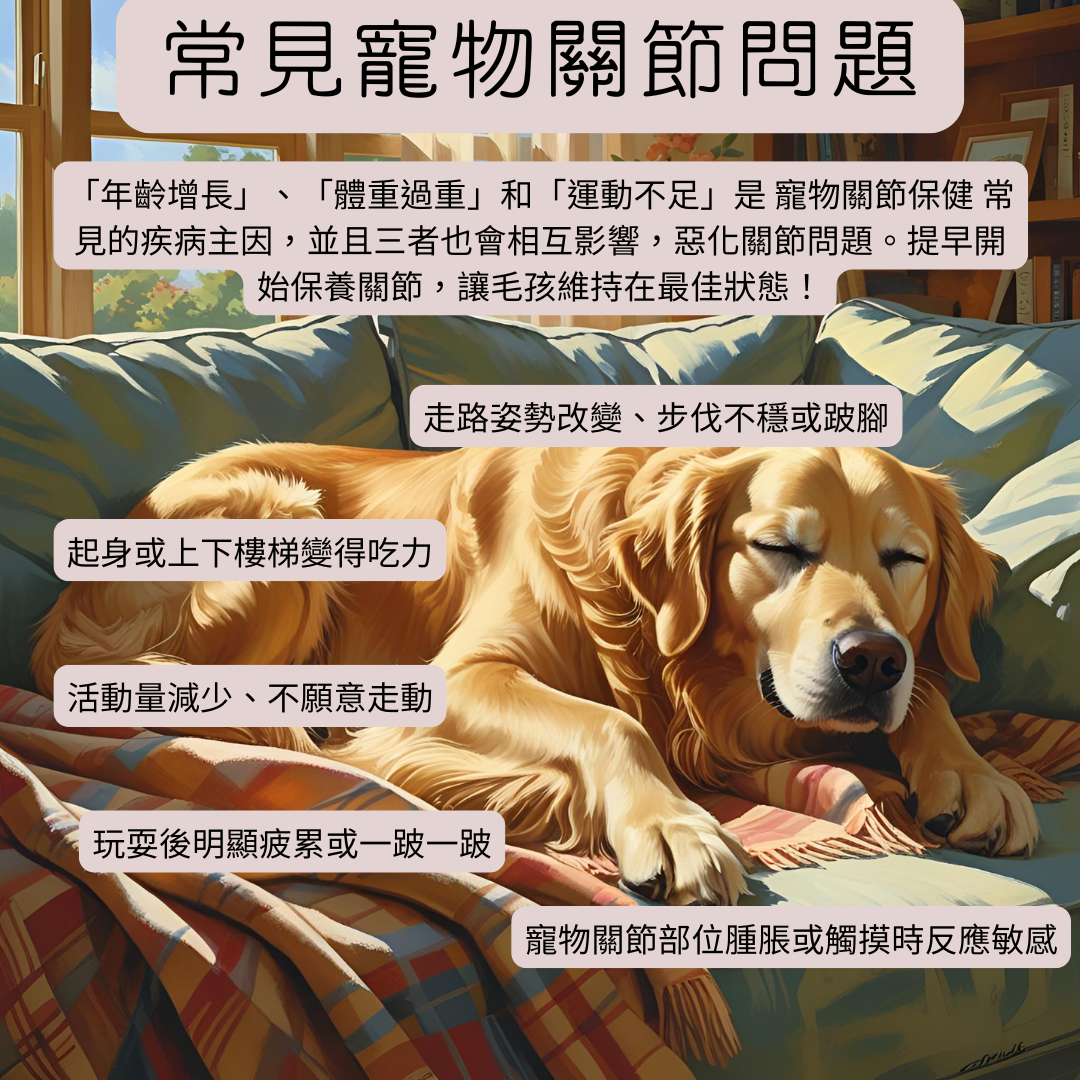 寵物關節保健