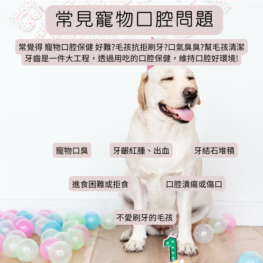 寵物口腔保健