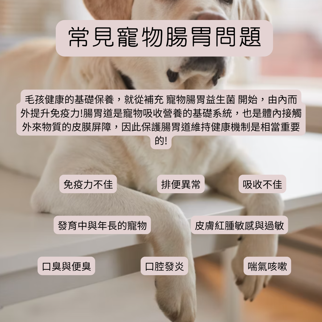 寵物益生菌