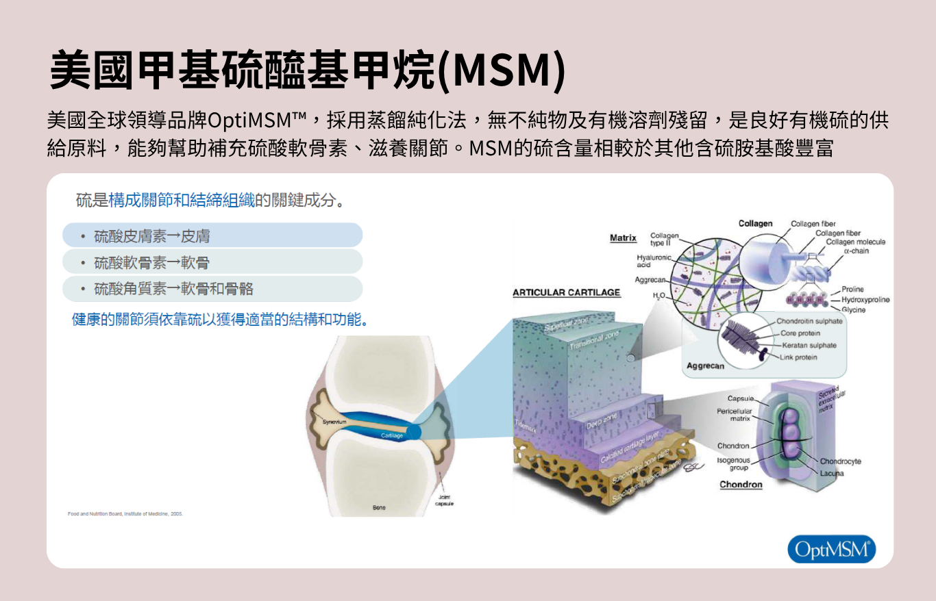 寵物關節保健