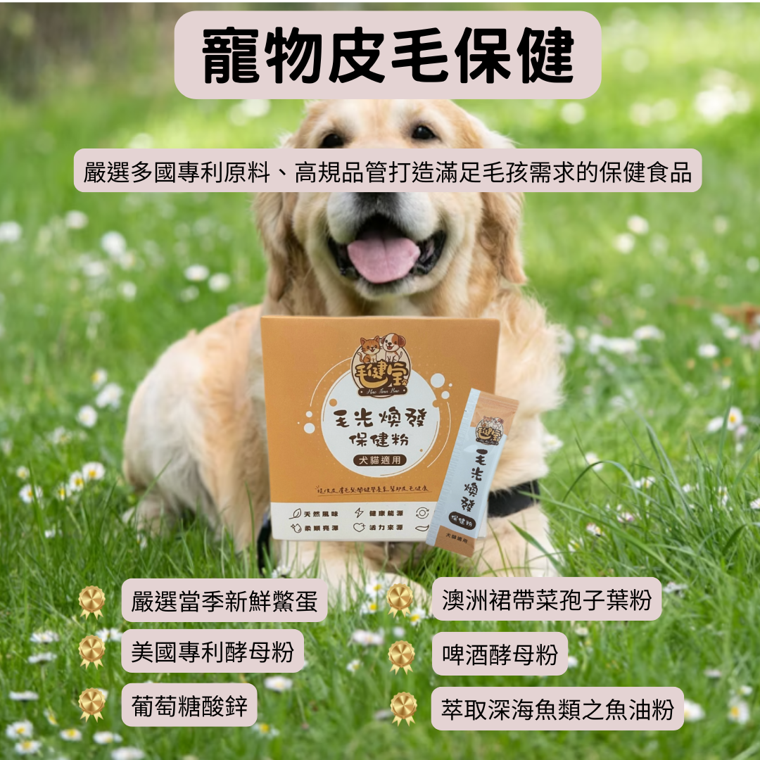 寵物皮毛保健