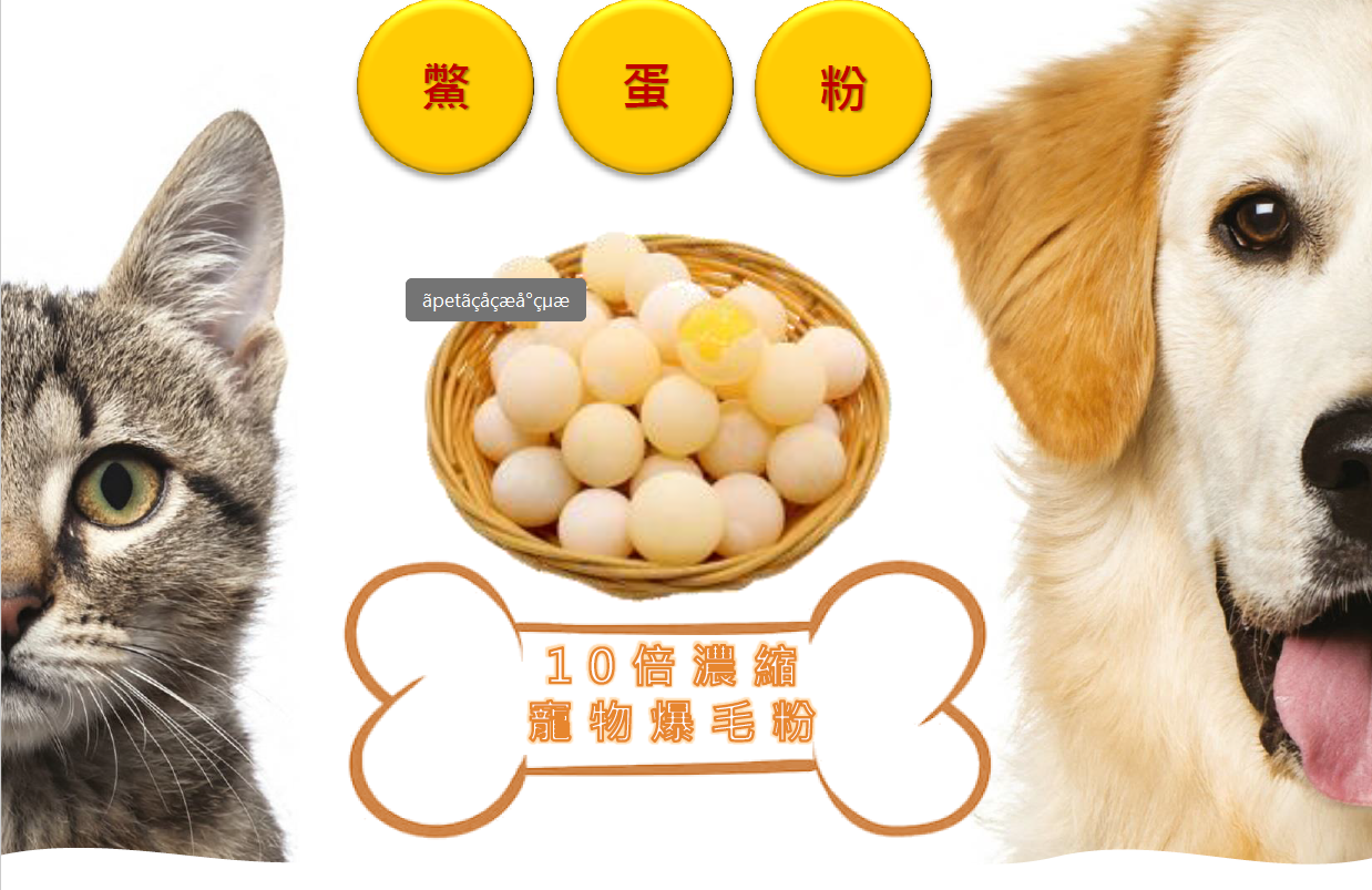 寵物皮毛