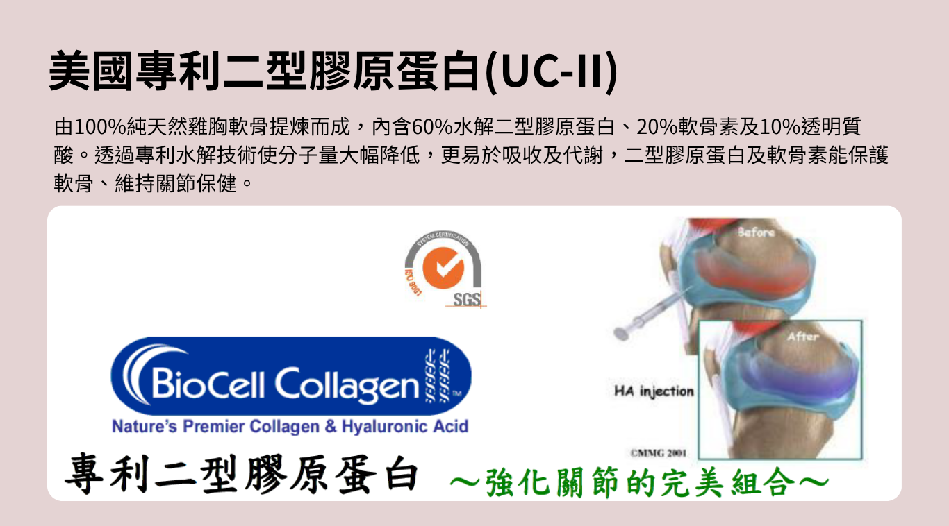 寵物關節保健