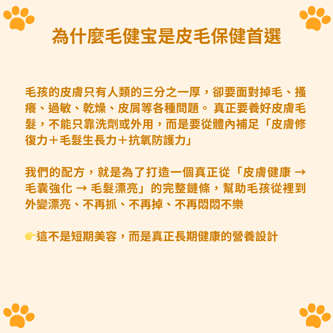 寵物皮毛保健