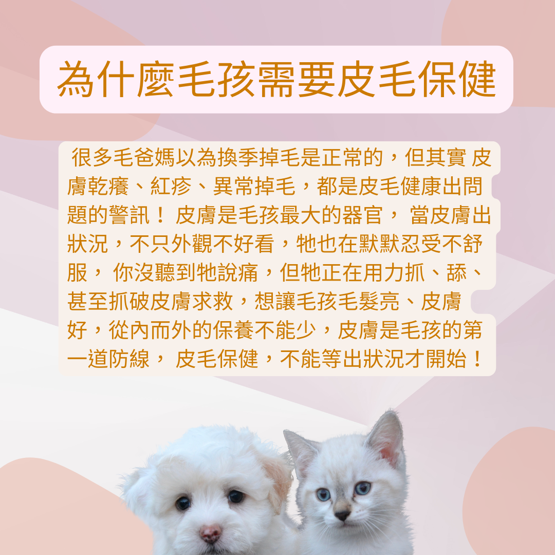 寵物皮毛保健