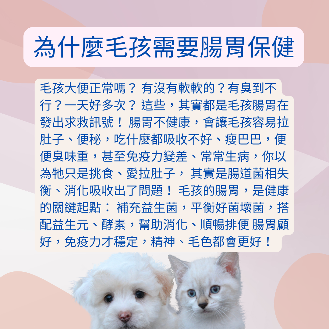 寵物益生菌