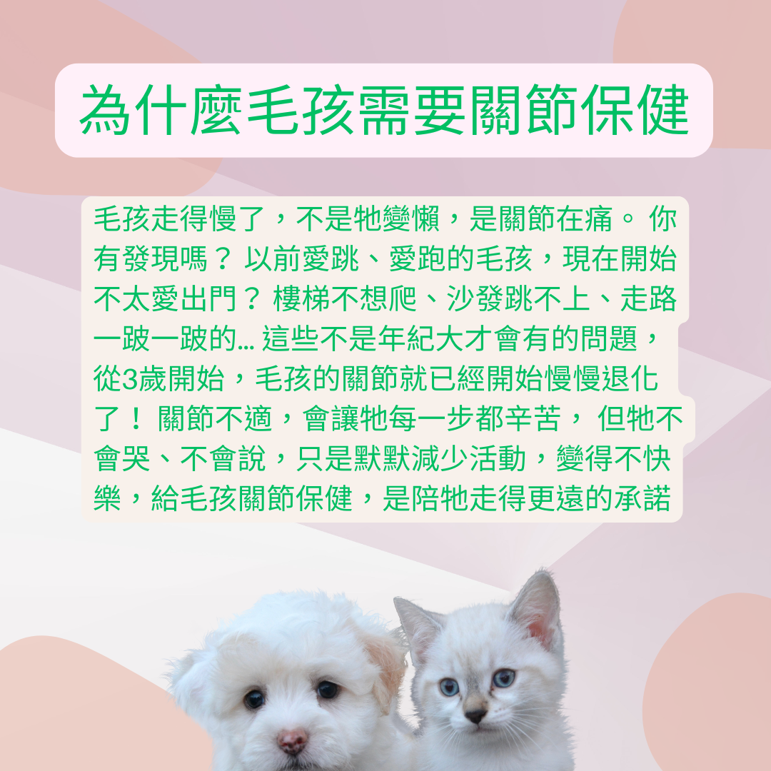 寵物關節保健