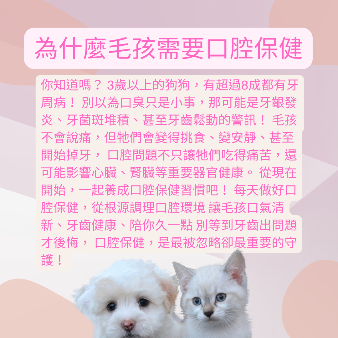 寵物口腔保健