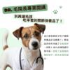 寵物關節保健品推薦，獸醫師說明改善毛孩行動力 MSM 靈活配方。強調狗狗貓咪肌肉支撐關節粉的重要性，避免肌肉系統崩壞導致關節沒感覺，犬貓軟硬骨強化保健首選。