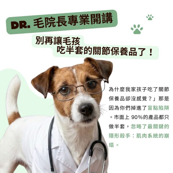 寵物關節保健品推薦，獸醫師說明改善毛孩行動力 MSM 靈活配方。強調狗狗貓咪肌肉支撐關節粉的重要性，避免肌肉系統崩壞導致關節沒感覺，犬貓軟硬骨強化保健首選。