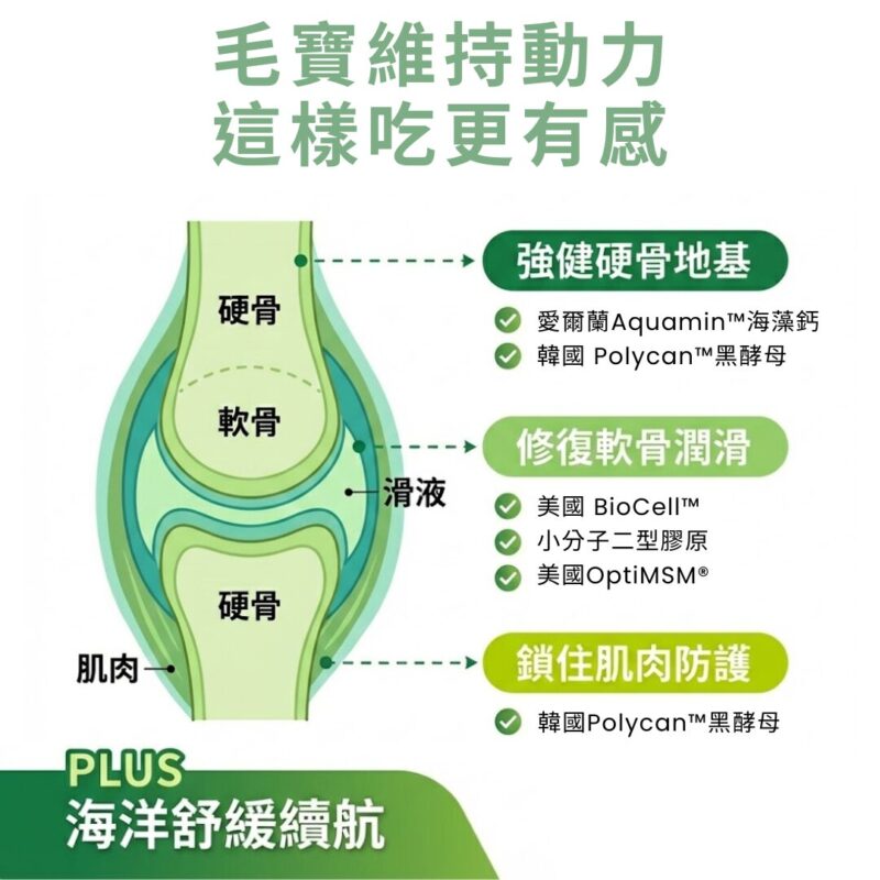 UC-II狗狗關節保健粉：添加韓國黑酵母打造肌肉支撐，日常輔助舒緩老犬不適