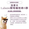 寵物口腔益生菌推薦》加拿大 Lalmin 酵母 B 群,修復黏膜、舒緩牙齦腫痛 寵物口腔益生菌推薦,嚴選加拿大 Lalmin 酵母維他命 B 群,有效幫助黏膜修復。針對寵物牙齦紅腫保健補充,提供天然發酵型態維生素,是改善狗狗貓咪口臭方法中維持口腔健康的重要後援。結合專利 K12 貓狗口腔益生菌、日本柿子萃取寵物除臭粉,全方位犬貓口腔健康後生元配方。