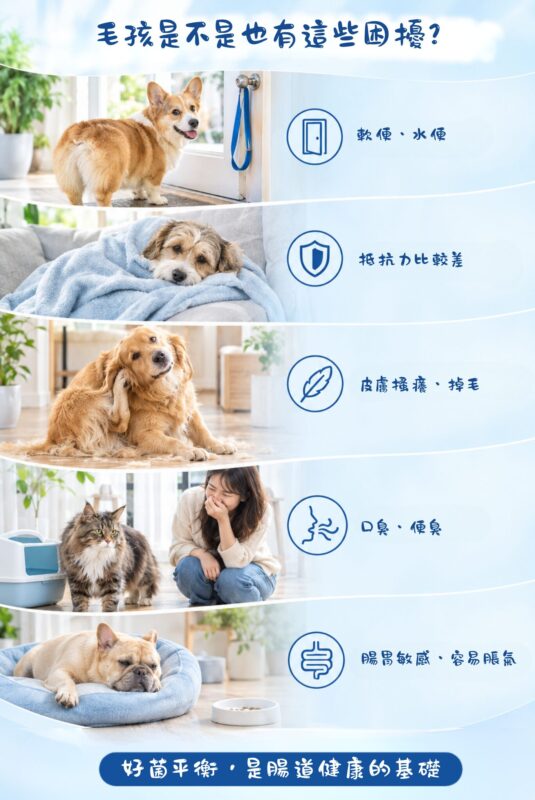 犬貓常見腸胃困擾,軟便水便、抵抗力比較差、皮膚搔癢掉毛、口臭便臭、腸胃敏感容易脹氣