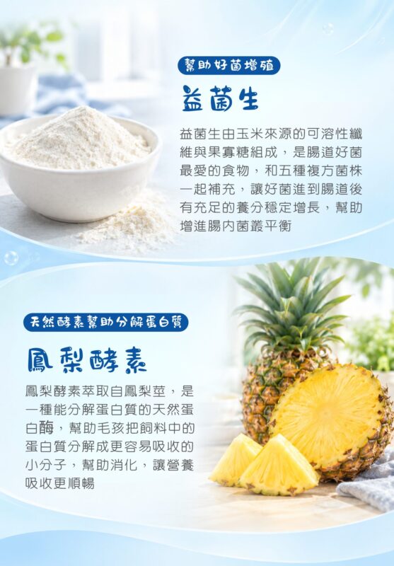 難消化性糊精與果寡糖益菌生幫助好菌增殖,天然鳳梨酵素幫助分解蛋白質